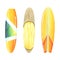 Surfboards are multicolored, yellow, orange, wooden texture. Watercolor illustration. Isolated objects on a white