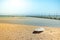 Surfboards standing upright in bright sun on the empty beach/Surf boards on the sand of an empty beach