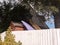 Surfboards tops resting against a shed behind wall in garden