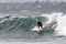 A surfer in action action at Fairy Bower in Sydney