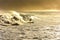 Surfer alone on the beach