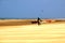 Surfer on the beach