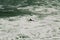 Surfer on board swims in ocean water