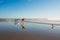 A surfer, carrying a board, strides purposefully across the sand beach toward the ocean, Pismo Beach, CA