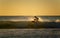 Surfer catches the wave in Australia