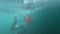 Surfer dives in front of a ocean wave