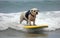 Surfer dog swims through the waves on a surfboard on the sea, summer landscape, generative ai