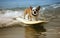 Surfer dog swims through the waves on a surfboard on the sea, summer landscape, generative ai