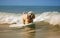 Surfer dog swims through the waves on a surfboard on the sea, summer landscape, generative ai