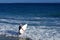 Surfer entering the ocean with his board