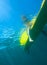 Surfer Girl.Underwater Viewing.