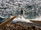 Surfer jumping into the Pacific Ocean