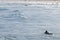 Surfer laying on the beach with peaceful sunny day