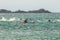 Surfer With New Zealand Common Dolphin Pod In Wellington