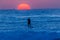 Surfer Paddling Board Ocean Horizon Sunrise