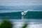 Surfer on perfect blue aquamarine wave, empty line up, perfect for surfing, clean water, Indian Ocean close to Mirissa