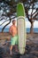 Surfer Posing with Surfboard