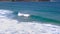 A surfer rides a wave at bondi beach, australia`s famous beach