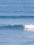 Surfer riding a wave, Australia