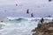 Surfer on rocks among numerous water birds. seagulls and cormorants birds sitting on the rocks, Monterey, California