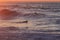 Surfer in San Francisco Lands End