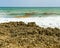 Surfer and Seaweed Patches in the Waves