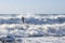 Surfer Silhouette Ocean Wave North Carolina