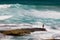 Surfer standing on a rock