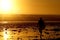 Surfer at sunset