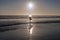 Surfer at sunset on Pacific Beach