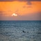 Surfer Sunset Silhouette