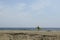 Surfer with surfboards in beach coast landscape Baja, Mexico