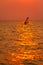 Surfer surfing alone in sea at sunset