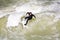 Surfer surfs at the Isar in huge