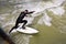 Surfer surfs at the Isar in huge