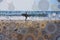 Surfer walking on beach