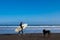 A surfer walks along a California beach