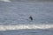 Surfers at Cape Kiwanda During the King Tide of February 2020