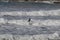 Surfers at Cape Kiwanda During the King Tide of February 2020