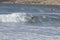 Surfers at Cape Kiwanda During the King Tide of February 2020