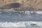 Surfers at Cape Kiwanda During the King Tide of February 2020