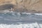 Surfers at Cape Kiwanda During the King Tide of February 2020