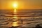 Surfers Coming in at Sunset