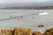 Surfers enjoy a day of surfing at Baleal north beach in Portugal