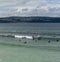 Surfers enjoying good waves at Gwithian Beach in St. Ives Bay