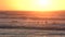 Surfers on the Gold Coast at sunset or sunrise, Australia. Orange golden silhouette