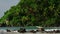 Surfers navigate waves at Mirissa lagoon, Sri Lanka. Tropical coastline, adventure sport, lush foliage. Tourists surf