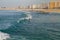 Surfers at ocean, Portugal, Porto. Travel photo.