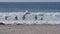 Surfers in ocean waves with surfboards, people surfing on beach, California USA.