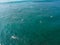 Surfers paddling for catching waves